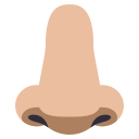 Nose Icon (3)