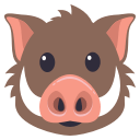 Pig Face