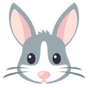 Rabbit Face