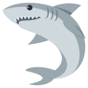 Shark
