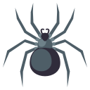 Spider Icon