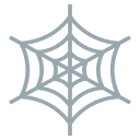 Spider Net Icon