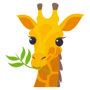 Ziraf