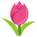 1f337
