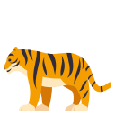 Animaks (6)