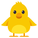 Chick (2)