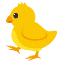 Chick