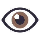 Eye Icon (2)