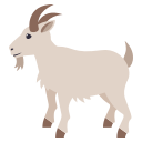 Lamb