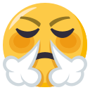 Emoji Reaction PNG Icon (37)
