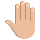 Hand Icon (24)