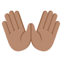 Hand Icon (80)