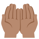 Hand Icon (116)