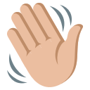 Hand Icon (163)