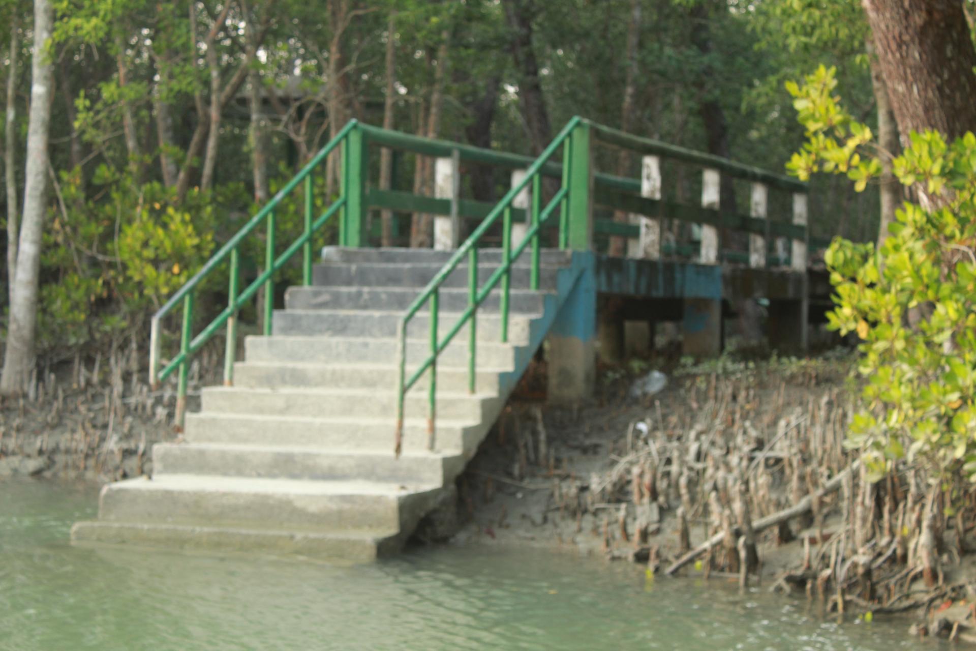 Sundorbon The Largest Mangrove Forest at Bangladesh