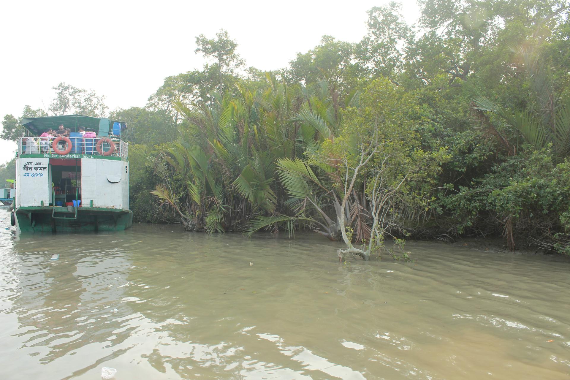 Sundorbon The Largest Mangrove Forest at Bangladesh