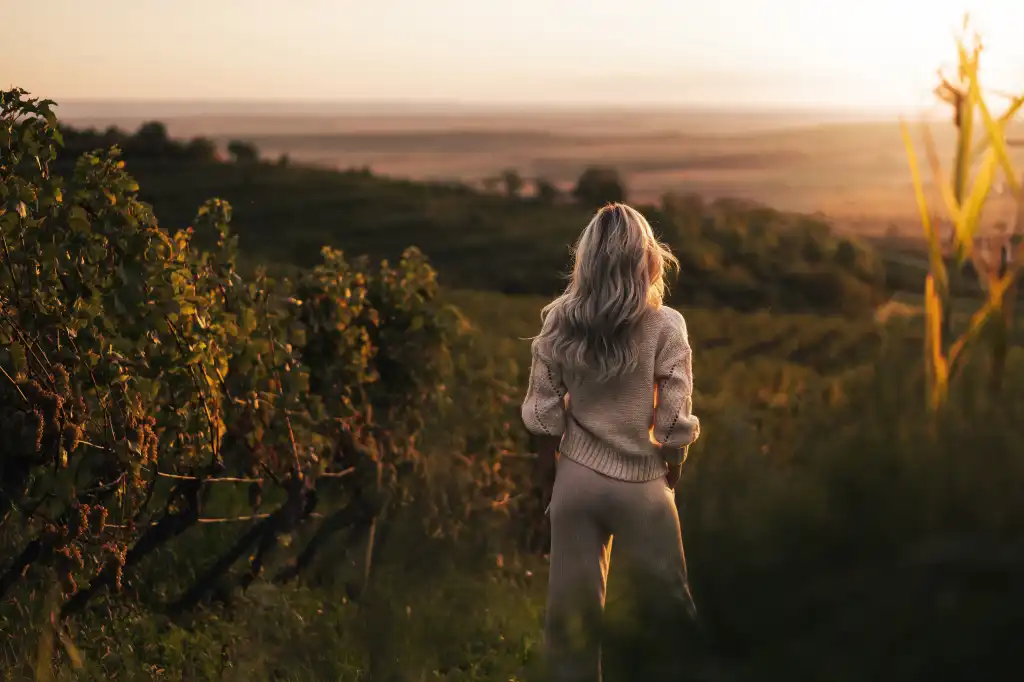 woman standing in a vineyard and looking over the vineyard scenery free image