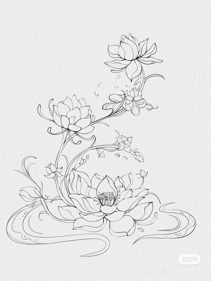 Hand Scrach Flower Drawign Picture (1)