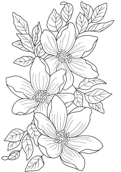 Hand Scrach Flower Drawign Picture (6)