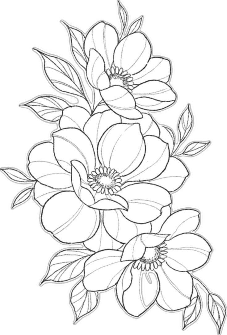 Hand Scrach Flower Drawign Picture (8)