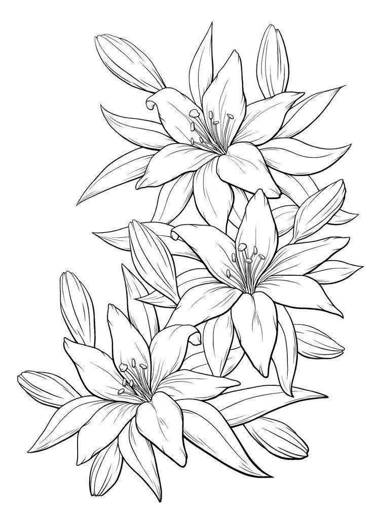 Hand Scrach Flower Drawign Picture (13)