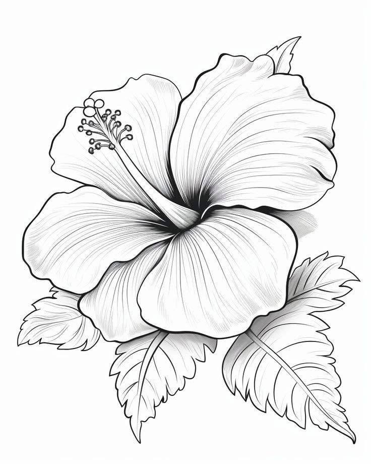 Hand Scrach Flower Drawign Picture (14)