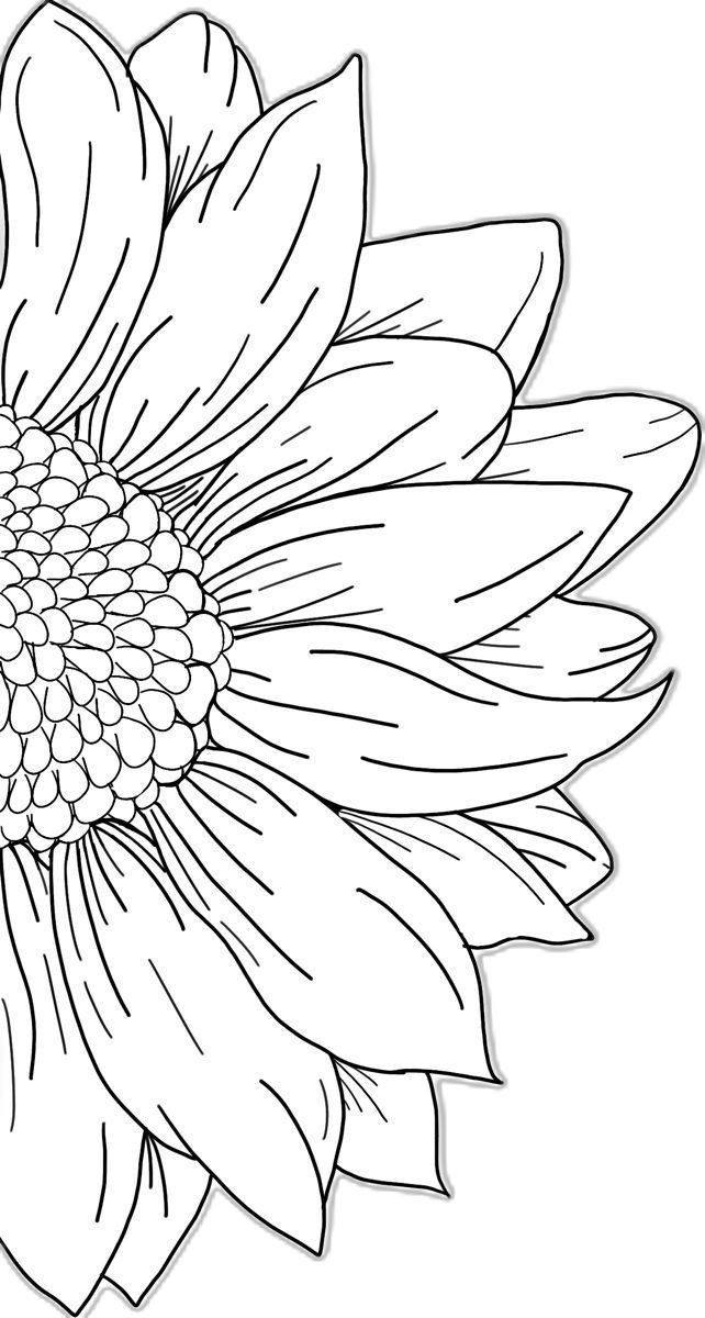 Hand Scrach Flower Drawign Picture (18)