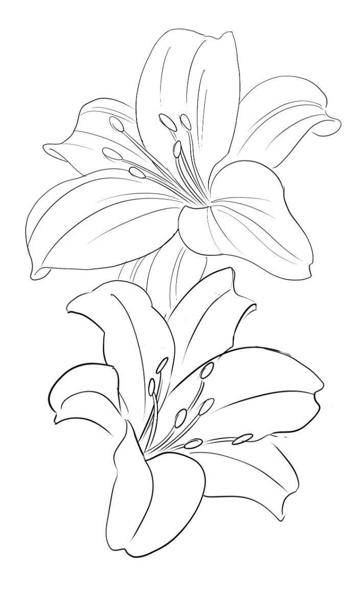 Hand Scrach Flower Drawign Picture (26)