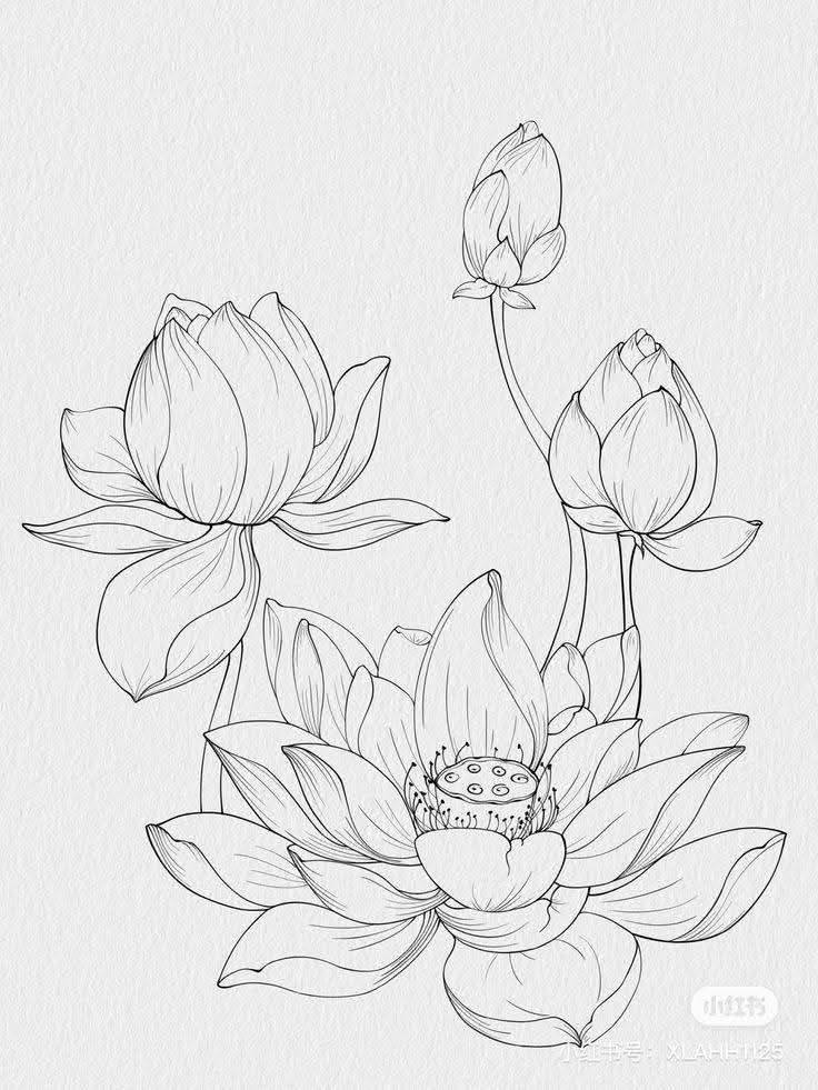 Hand Scrach Flower Drawign Picture (28)