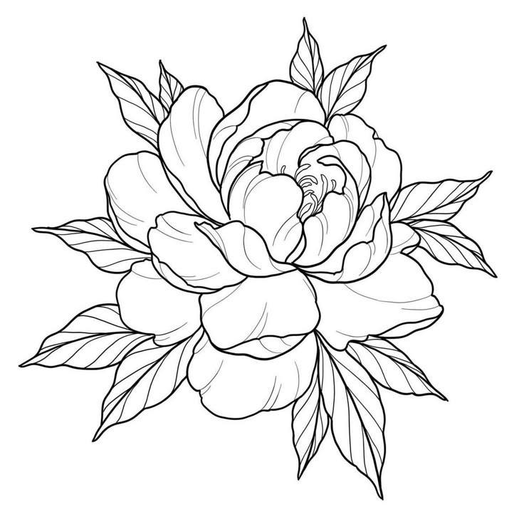 Hand Scrach Flower Drawign Picture (31)