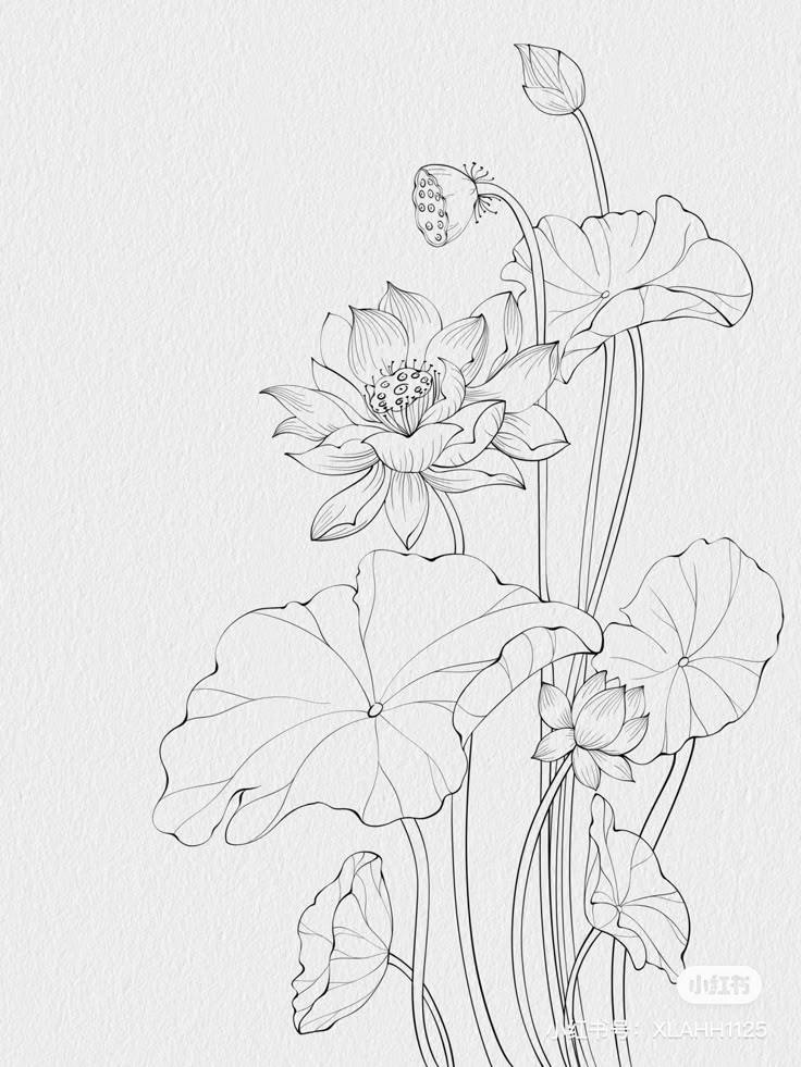 Hand Scrach Flower Drawign Picture (32)