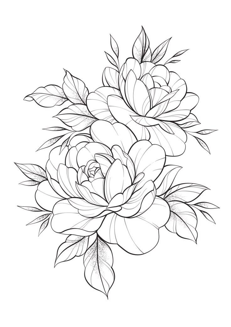 Hand Scrach Flower Drawign Picture (35)