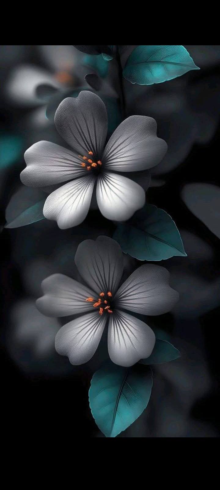 Flowers symbols of Love (14)