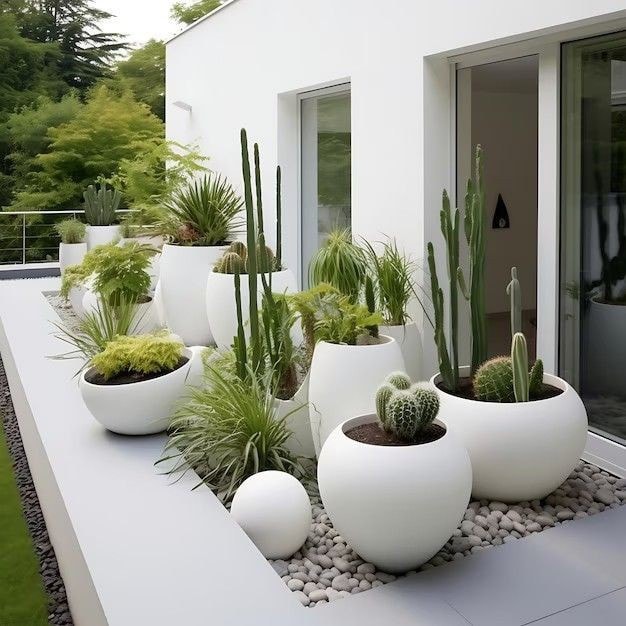 Awesome Outdoor Plants (1)