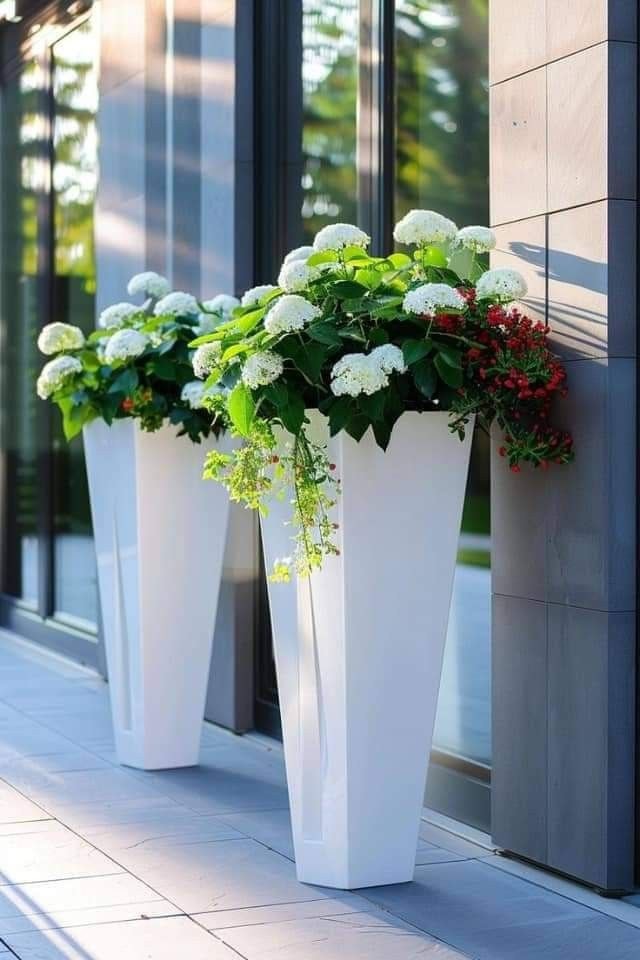 Awesome Outdoor Plants (4)
