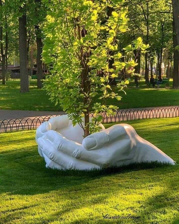 Awesome Outdoor Plants (7)