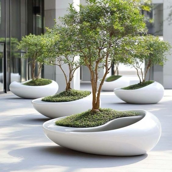 Awesome Outdoor Plants (11)