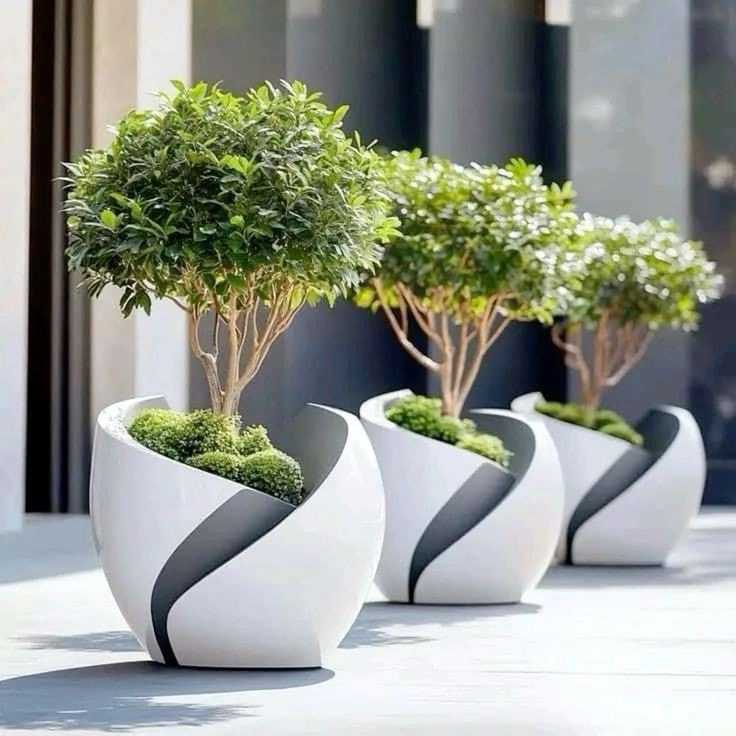 Awesome Outdoor Plants (14)