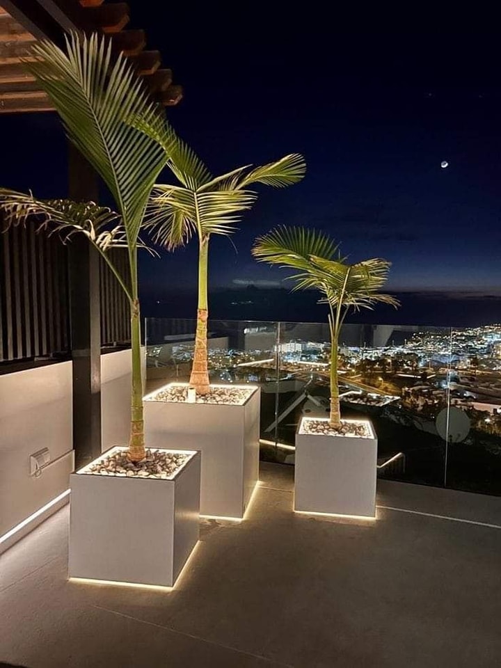 Awesome Outdoor Plants (15)