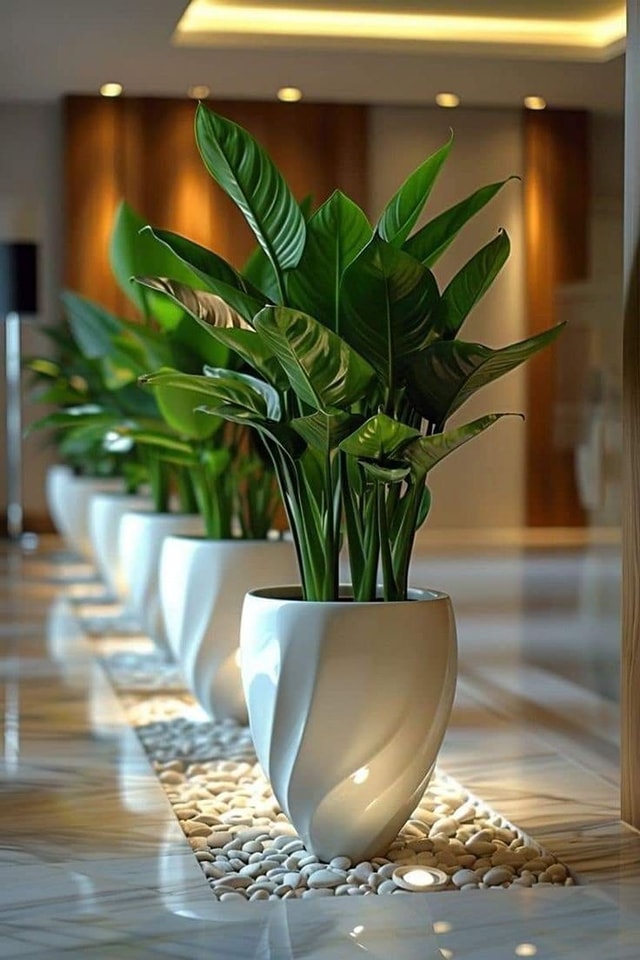 Awesome Outdoor Plants (17)