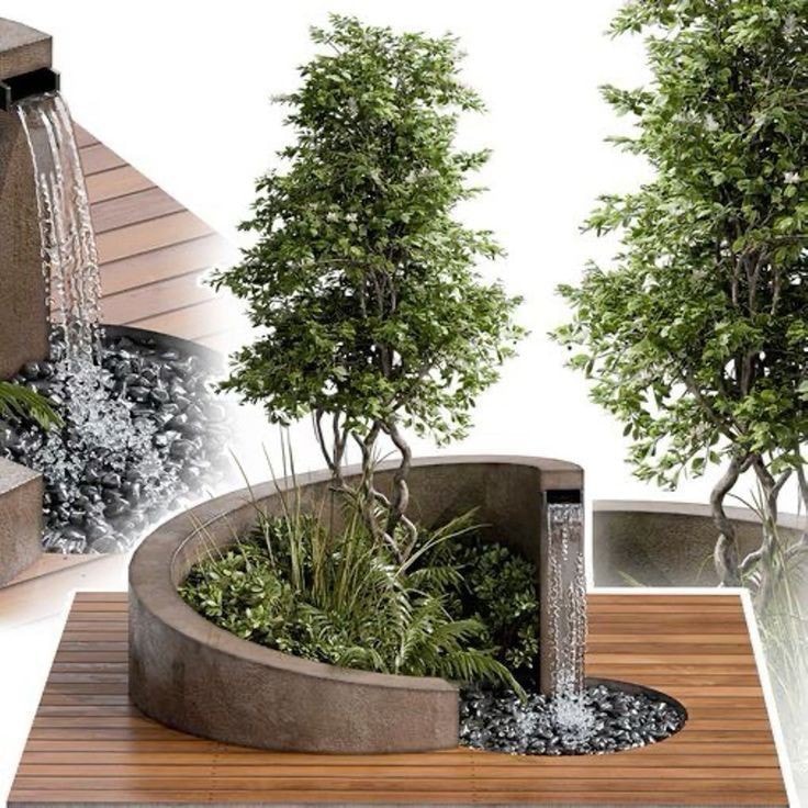 Awesome Outdoor Plants (19)