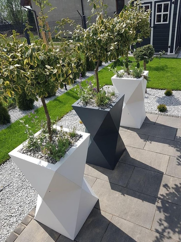 Awesome Outdoor Plants (20)