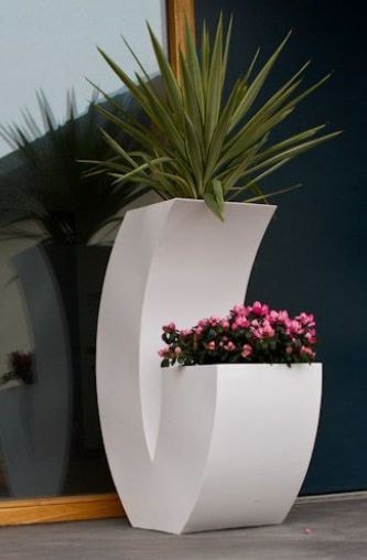 Awesome Outdoor Plants (21)
