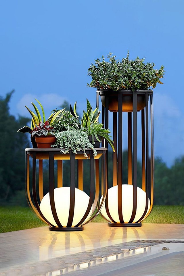 Awesome Outdoor Plants (24)