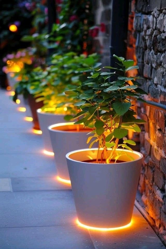 Awesome Outdoor Plants (27)