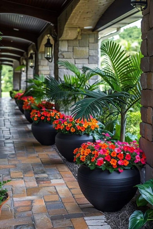 Awesome Outdoor Plants (30)