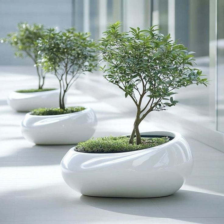 Awesome Outdoor Plants (39)