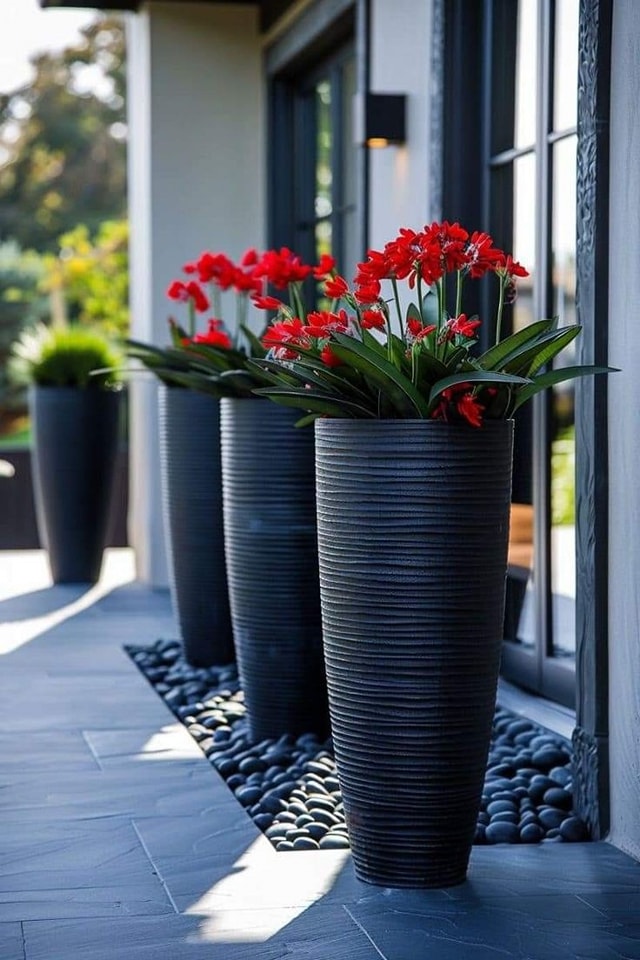 Awesome Outdoor Plants (41)
