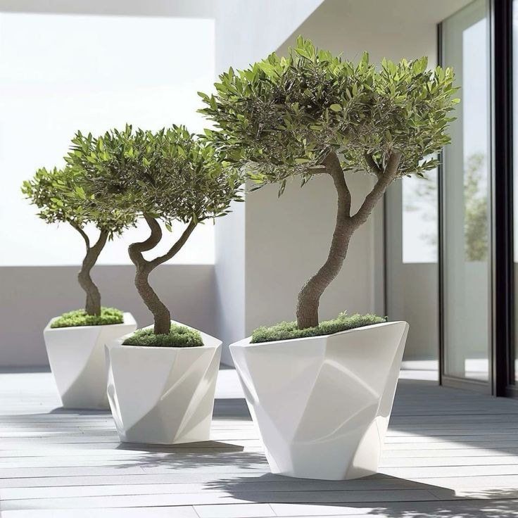 Awesome Outdoor Plants (44)