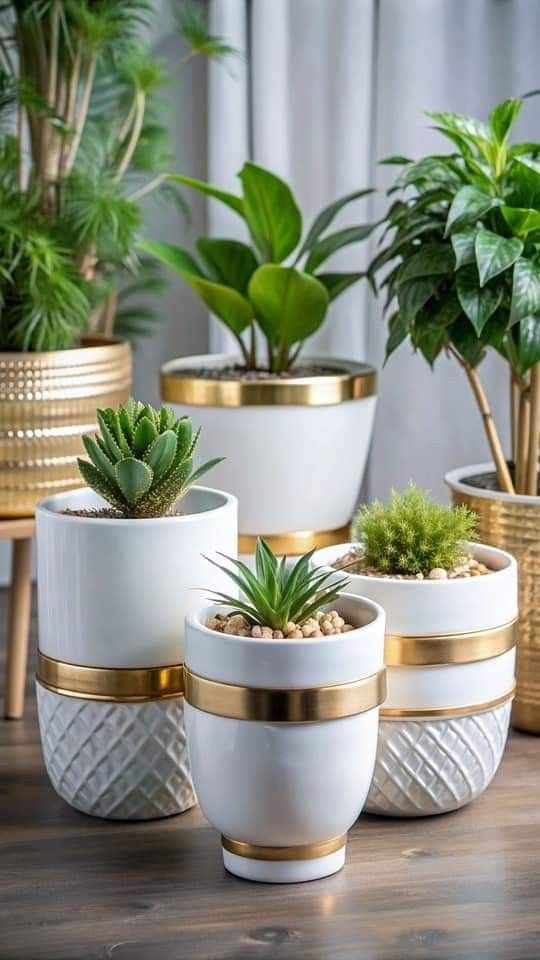 Awesome Outdoor Plants (47)